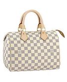 LV Speedy 30 Damier Azur